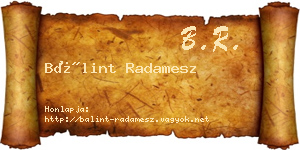 Bálint Radamesz névjegykártya